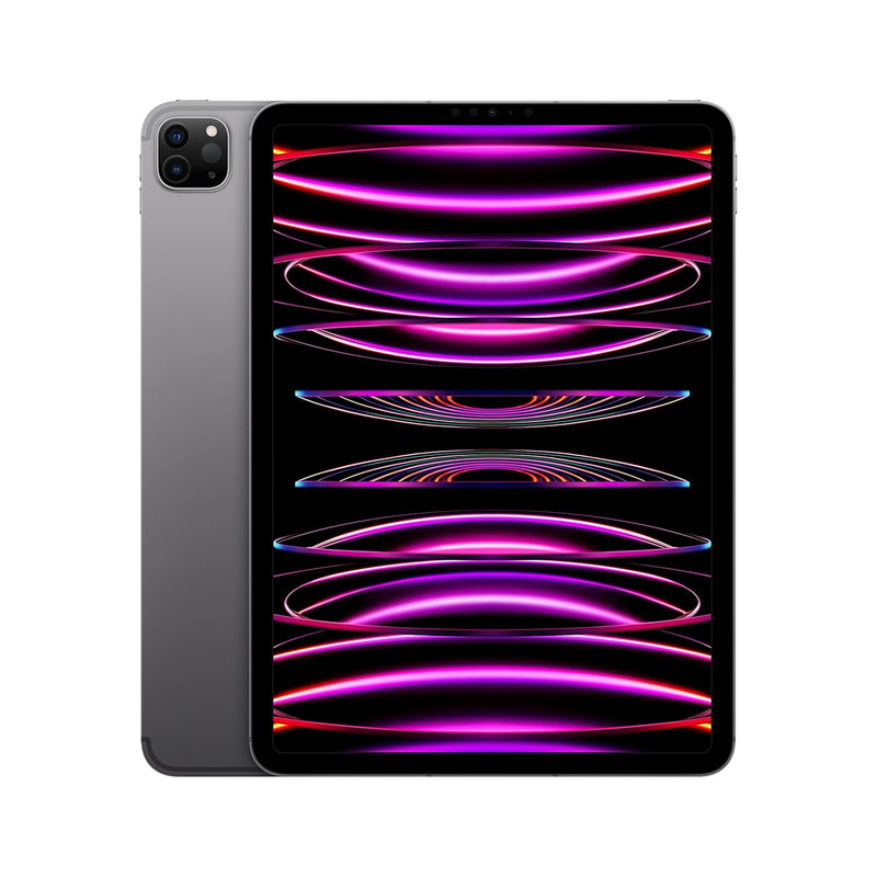 iPad Pro 11 4th Gen (WiFi+Cellular)
